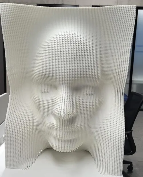 Face--3D printed sculpture by Tsinghua University