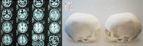 imgi 33 20190211054949939