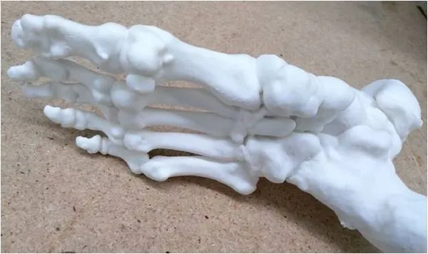 imgi_34_20190202055332595